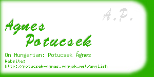 agnes potucsek business card